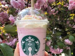 -星巴克(西藏路店)