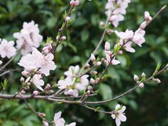 -江南大学(蠡湖校区)