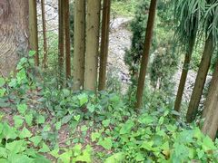 九峰山进门侧边-九峰山