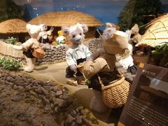 -济州岛泰迪熊博物馆