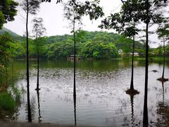 -广州市石门国家森林公园