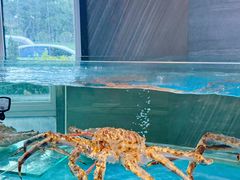 -万盛合(渔人码头店)