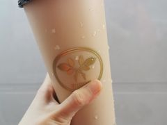 -多克多蒸气茶DOKDO(鼓楼绿地店)