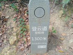 -梧桐山风景名胜区