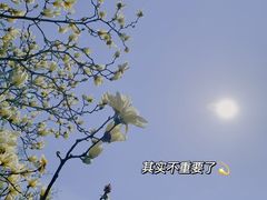 -沈阳植物园