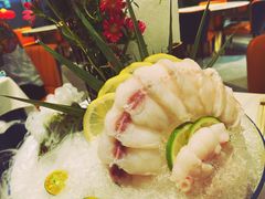 -鲐赏河豚(长寿店)