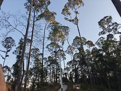 -水濂山森林公园