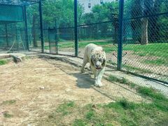 -郑州市动物园