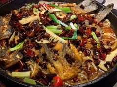 -老板恋上鱼(恒隆广场店)