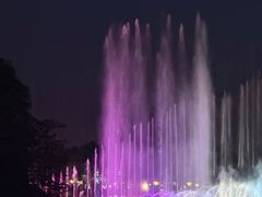 -大雁塔北广场音乐喷泉