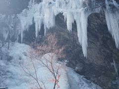-少华山国家森林公园