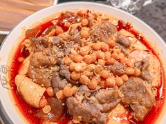 -杨家火锅(国美店)