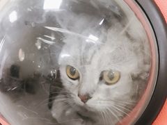 -美联众合动物医院·24h京西诊疗中心