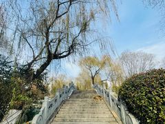 -济南大明湖景区