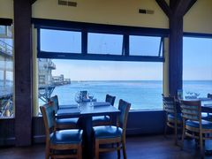 -Fish Hopper