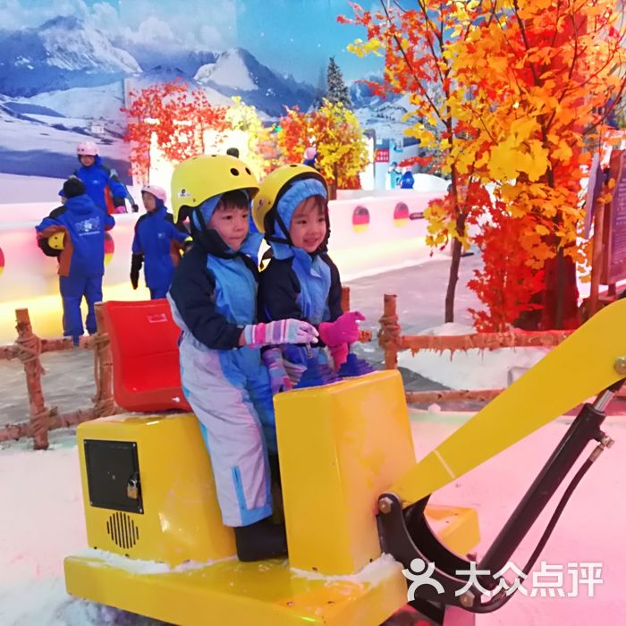 三只熊冰雪王国简介图片