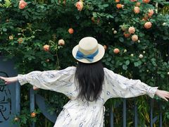 -杭州观成实验学校