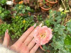 -宅里香.自然餐厅(湘大店)
