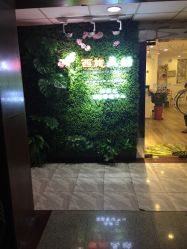 -西施无菌半永久纹绣眉眼影唇轻增发纹发际线