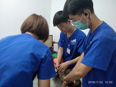 -宠福鑫动物医院·动物疾病诊疗中心(天通苑店)
