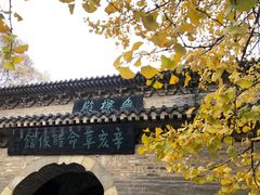 -灵谷景区