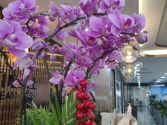 -洄归山也·高空C位湖景下午茶(东方之门店)