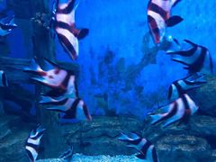-常州海昌海洋探索馆