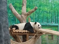 -灵玲国际马戏城