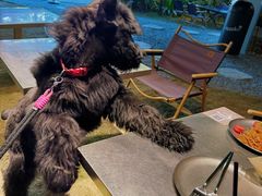 -J Create城市露营咖啡·简餐·宠物(上海动物园店)