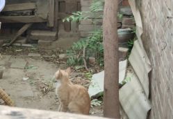 -广州市儿童公园