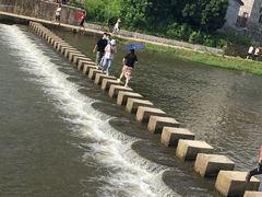 -正宗高流河饭店原创风姜鸡