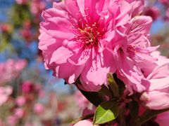 -皇城根遗址公园-东安门遗址