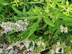 -龙洞风景区-藏龙涧