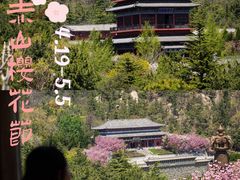-石岛赤山风景区