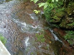 -龙苍沟森林公园