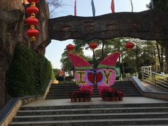 -松山湖梦幻百花洲