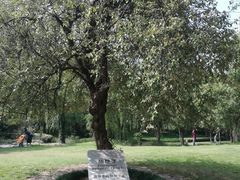 -苏州河梦清园环保主题公园