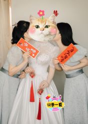 -Color卡诺婚纱礼服馆(南京严选店)