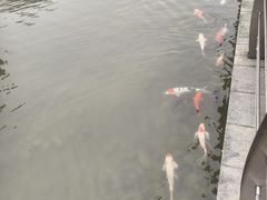 -梧桐人家中国太平国际健康颐养社区