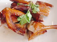 红烧乳鸽-黄埔华苑酒家(黄埔总店)