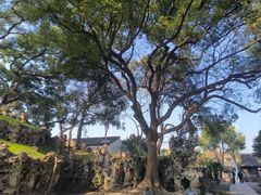 -绍兴鲁迅故里·沈园景区