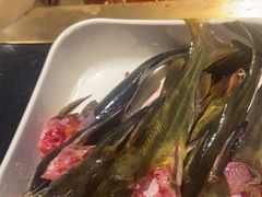 -川西坝子火锅(清江东路3.0直营店)