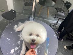 -宠物家(双井店)