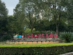 -三江森林温泉度假区