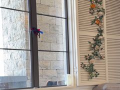 -22ºN BISTRO西餐&酒馆(石奥商业街店)