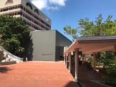 -香港大学