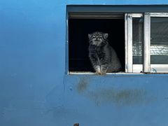 -青藏高原野生动物园