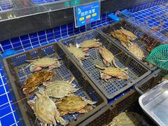 水产区-宝轩渔府·老字号海鲜·正宗津菜(水上店)