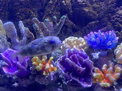 -常州海昌海洋探索馆