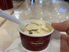 葡萄干朗姆酒-哈根达斯(石家庄北国店)